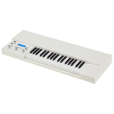 Manikin-Electronic Memotron M2K Manikin-Electronic Memotron M2K