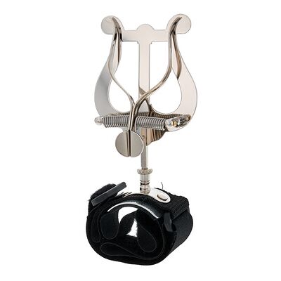 Riedl 965AH Lyre Alphorn Riedl 965AH Lyre Alphorn