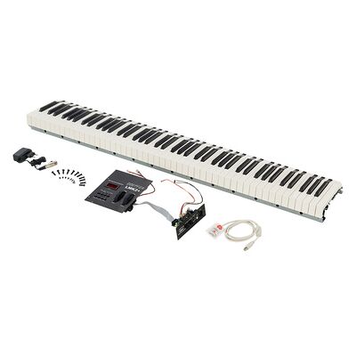 Doepfer LMK2+ 88 GH without Case Doepfer LMK2+ 88 GH without Case
