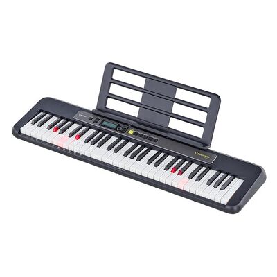 Casio LK-S250 Casio LK-S250