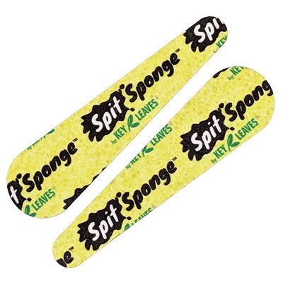 Key Leaves Spit Sponge Clarinet Key Leaves Spit Sponge Clarinet