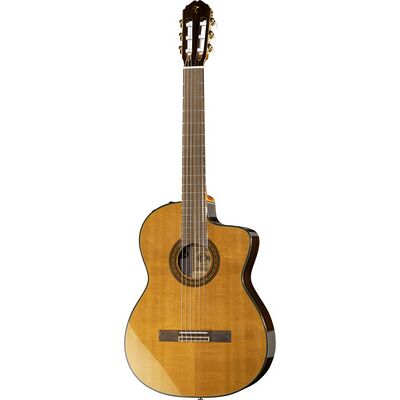 Takamine EC132SC w/Softcase naturale lucido Takamine EC132SC w/Softcase naturale lucido