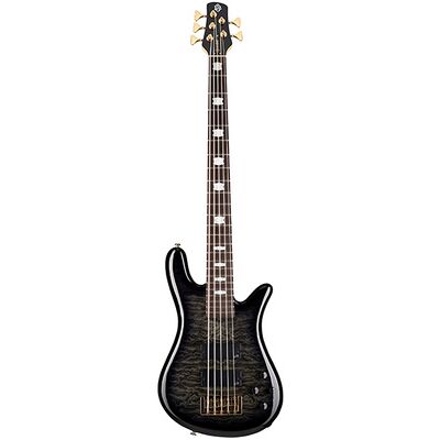 Spector Icon NS-5 Bolt-On BSG Black Stain lucido Spector Icon NS-5 Bolt-On BSG Black Stain lucido