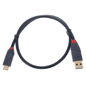 Lindy USB 3.1 Typ A/C 0,5m Anthra