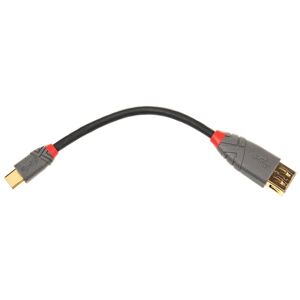 Lindy USB 3.1 Typ C Adapterkabel Black