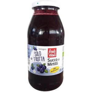 BIOTOBIO Srl SUCCO PURO MIRTILLI SELV 500ML