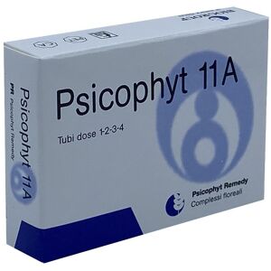 BIOGROUP SpA SOCIETA' BENEFIT Biogroup Psicophyt Remedy 11a 4 Tubi 1,2 G