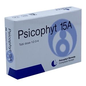 BIOGROUP SpA SOCIETA' BENEFIT Biogroup Psicophyt Remedy 15a 4 Tubi 1,2 G