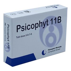 BIOGROUP SpA SOCIETA' BENEFIT Biogroup Psicophyt Remedy 11b 4 Tubi 1,2 G