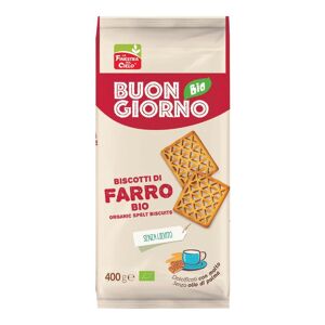 BIOTOBIO Srl BUONGIORNOBIO BISC FARRO 400G