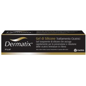 VIATRIS CH Meda Pharma Dermatix Gel 60 G Np