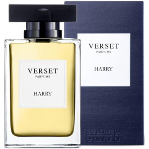 JAVYK VERSET VERSET HARRY EDT 100ML