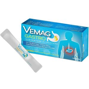 GEMAVIP di Ottavio Podda VEMAG GASTRO 20 Stick