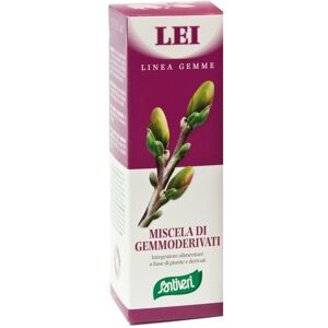 SANTIVERI Sa ZEFIRUS Lei 100ml          STV