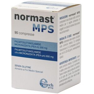 EPITECH NORMAST*MPS 90 Cpr