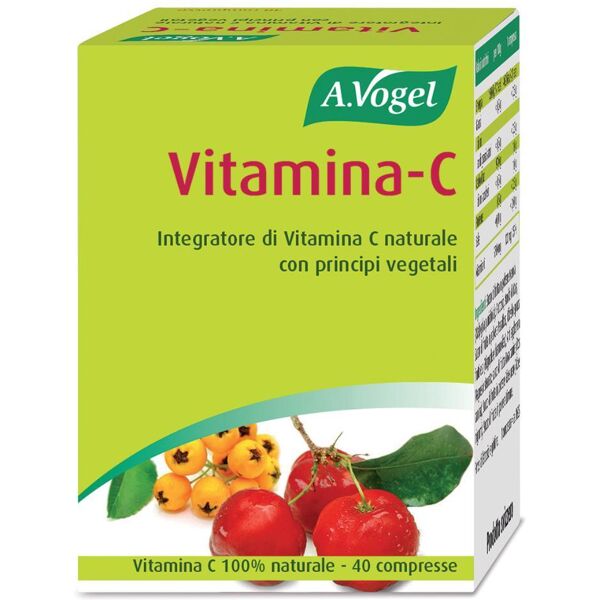 biotobio srl bioforce vitamina c 40past