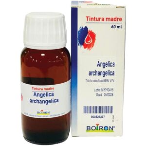 BOIRON Srl ANGELICA ARCANGELICA 60ML TM