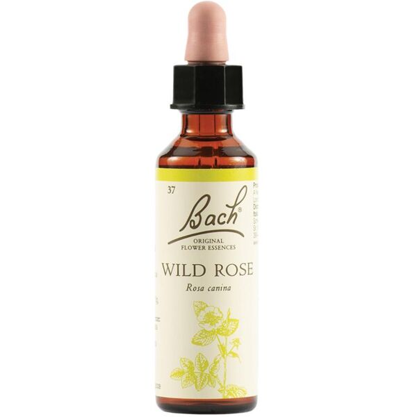 schwabe pharma italia srl bach 37 wild rose 20ml