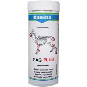 NEXTMUNE ITALY Srl DRN Specialist  Canina GAG Plus Cani Integratore Alimentare 60 Compresse