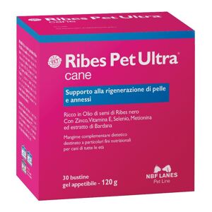 N.B.F. LANES Srl Ribes Pet Ultra Cane Gel 30 Bustine 4 G