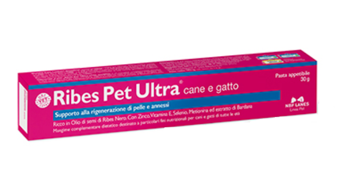 nbf lanes vet ribes pet ultra pasta 30g