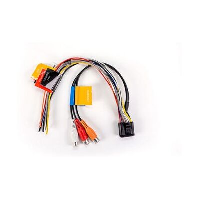 Fusion Connettore per altoparlante e alimentazione stereo (uscita RCA zona 1) Fusion Connettore per altoparlante e alimentazione stereo (uscita RCA zona 1)