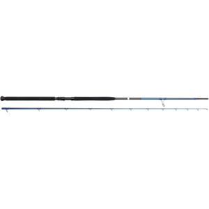 Savage Gear SGS2 Shore Jigging 9'6''M canna da shore jigging 20/80 gr.