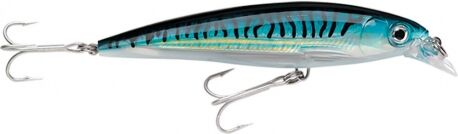 Rapala X-Rap® Saltwater 10 artificiale da pesca SBM