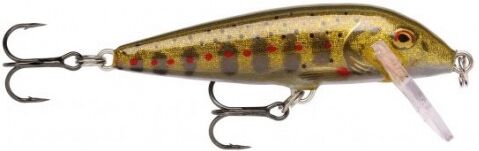 Rapala Countdown 07 esca artificiale da 8 gr. GJTR_