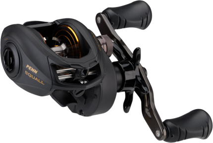 PENN Squall 300 L Low Profile casting Reel