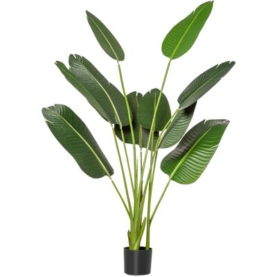 Homcom Albero Artificiale di Banano 160 cm con Vaso e 10 Foglie Realistiche, Pianta Finte Tropicale per Decorazioni Interni ed Esterni, Verde Aosom Italy Homcom Albero Artificiale di Banano 160 cm con Vaso e 10 Foglie Realistiche, Pianta Finte Tropicale per Decorazioni Interni ed Esterni, Verde Aosom Italy