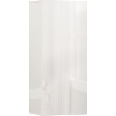 Homcom Mobiletto Bagno Pensile con 2 Ripiani in Vetro Regolabili e Anta Senza Maniglia, Bianco Lucido Aosom Italy Homcom Mobiletto Bagno Pensile con 2 Ripiani in Vetro Regolabili e Anta Senza Maniglia, Bianco Lucido Aosom Italy