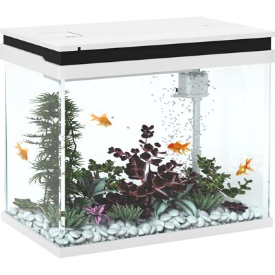 Acquario PawHut - Contenitore in vetro da 41L con filtro, luci LED, pompa dell'acqua Acquario PawHut - Contenitore in vetro da 41L con filtro, luci LED, pompa dell'acqua