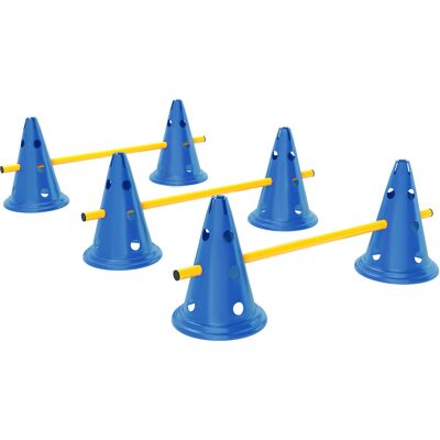 Pawhut Set 3 Pezzi Agility per Cani, Attrezzatura per Addestramento Cani, Set Ostacoli a Innesto con 6 Coni, 3 Ostacoli e Borsa, Blu e Giallo Aosom Italy Pawhut Set 3 Pezzi Agility per Cani, Attrezzatura per Addestramento Cani, Set Ostacoli a Innesto con 6 Coni, 3 Ostacoli e Borsa, Blu e Giallo Aosom Italy