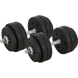 Homcom Set di 2 Manubri Pesi da 30kg Totali con 16 Dischi in Acciaio e Plastica per Allenamento a Casa Aosom Homcom Set di 2 Manubri Pesi da 30kg Totali con 16 Dischi in Acciaio e Plastica per Allenamento a Casa Aosom