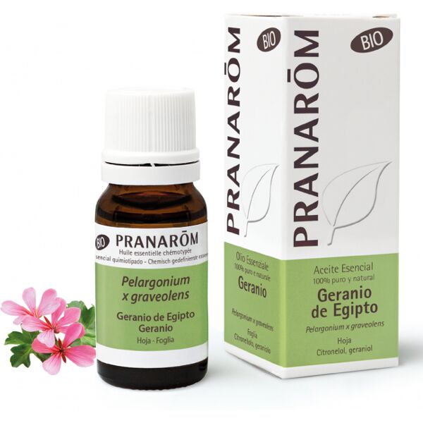 pranarom olio essenziale geranio - 10 ml