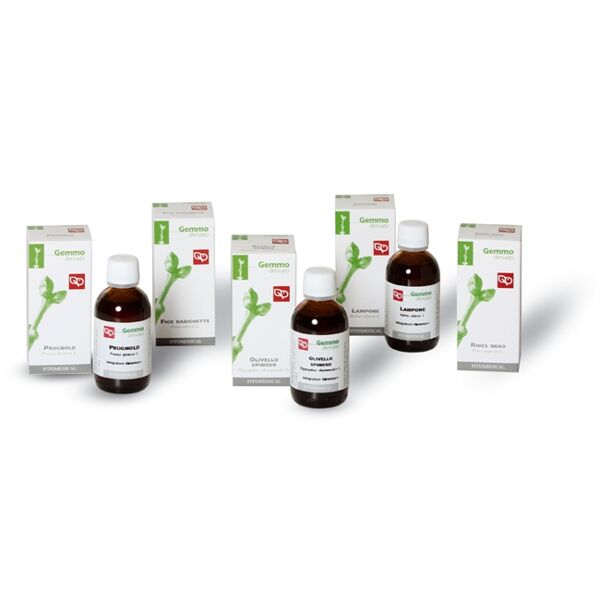 fitomedical fico gemme (ficus carica l.) gemmoderivato