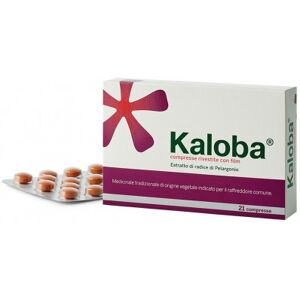 Schwabe Pharma Italia Kaloba 21 Compresse 20 Mg