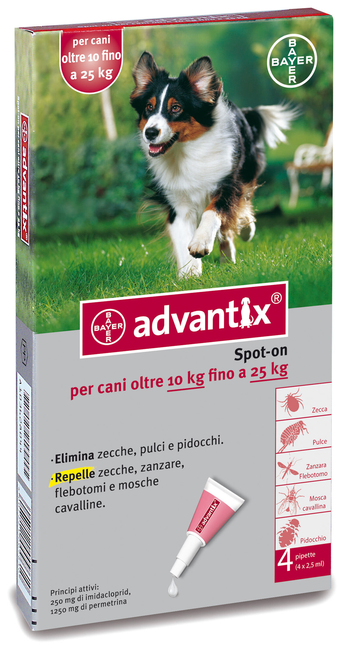 bayer advantix spot-on 4 pipette 2.5 ml (10-25 kg)