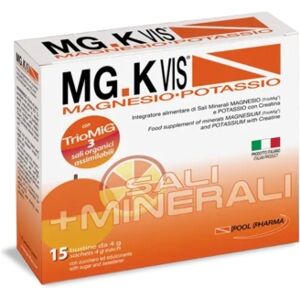 MGK VIS Linea Integratori Idrosalini Polvere Granulare 15 Bustine Arancia