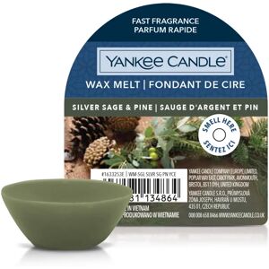 YANKEE CANDLE Silver Sage Pine Cera da Fondere 22 gr