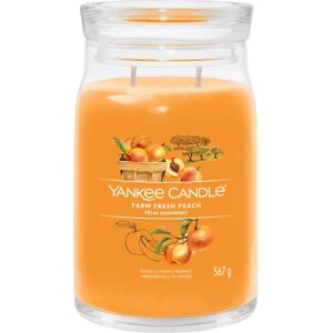 YANKEE CANDLE Candela Farm Fresh Peach Giara Signature Grande 567 gr