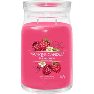 YANKEE CANDLE Candela Red Raspberry Giara Signature Grande 567 gr