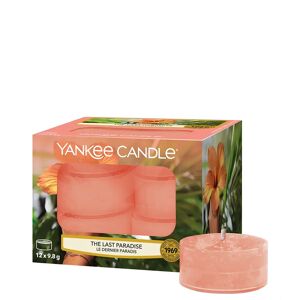 yankee candle the last paradise tealight 12 pz