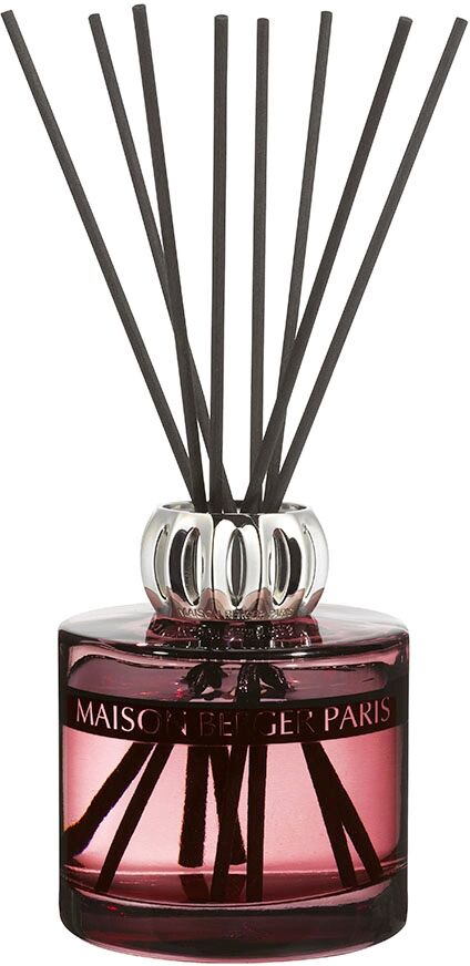 MAISON BERGER PARIS Bouquet Duality Diffusori a Bastoncini 180 ml