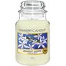 YANKEE CANDLE Candela Midnight Jasmine Giara Grande 623 gr