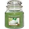 YANKEE CANDLE Candela Vanilla Lime Giara Media 411 gr