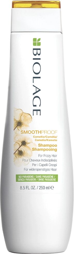 MATRIX Biolage SmoothProof Shampoo Disciplinante per Capelli crespi 250 ml