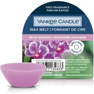 YANKEE CANDLE Wild Orchid Cera da Fondere 22 gr