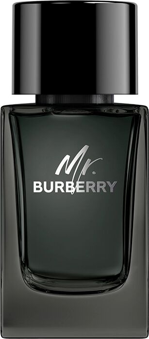 BURBERRY Mr.  Eau de Parfum 100 ml